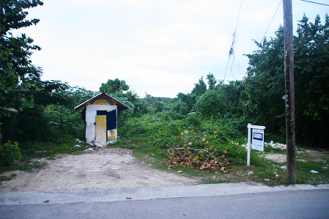 013_jamaica.jpg