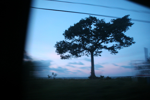 070_jamaica.jpg