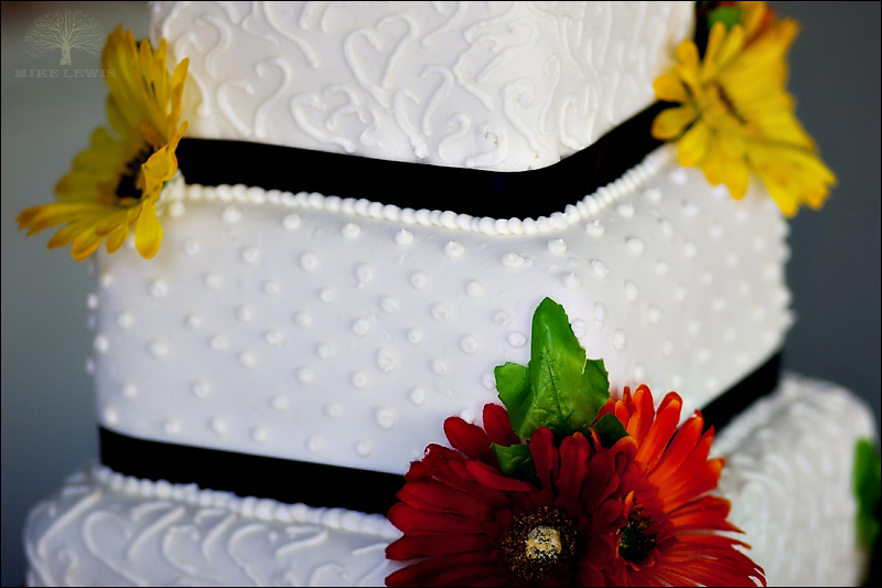 009_mike_lewis_weddings