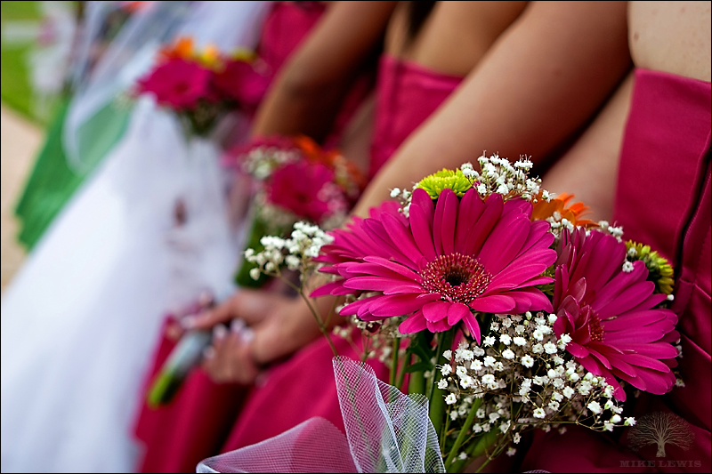 060_mike_lewis_weddings