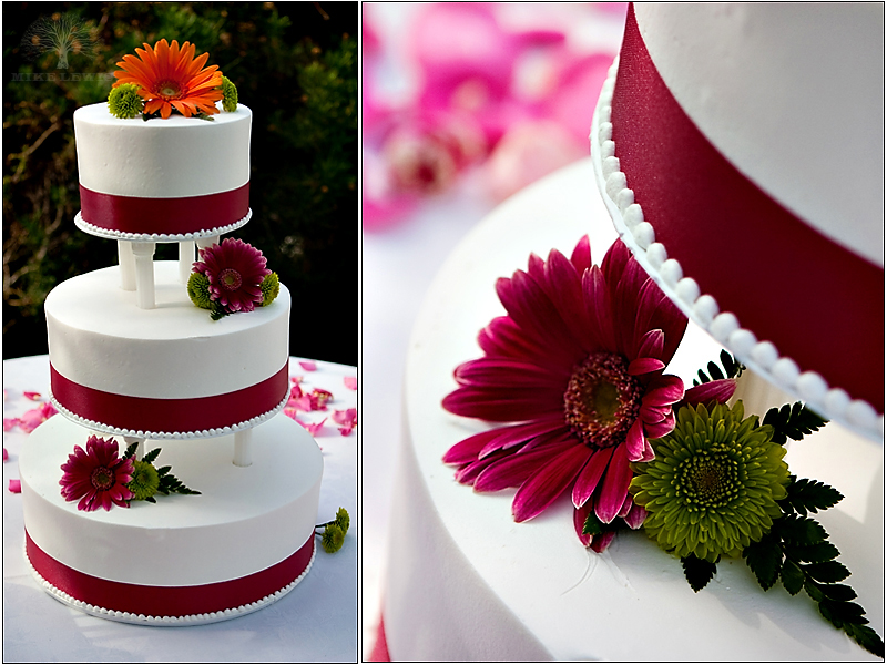 062_mike_lewis_weddings