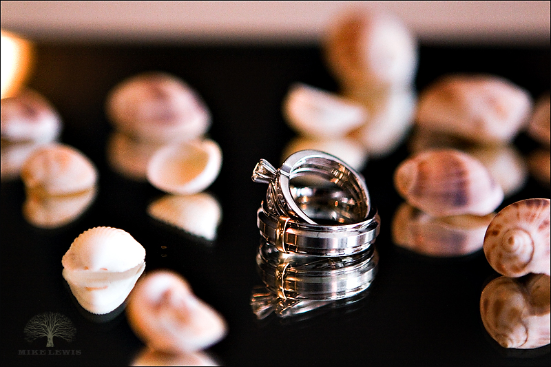 020_mike_lewis_wedding_photographer_chris_michelle 020_mike_lewis_wedding_photographer_chris_michelle