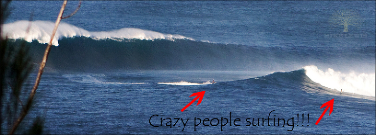 Maui, Hawaii, Crazy surfers, Mike Lewis Photography