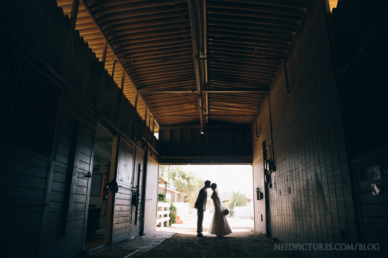 010_mike_lewis_photographer_red_horse_barn_huntington_beach